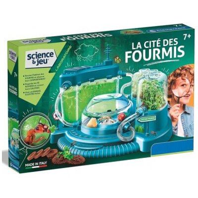 Non communiqué Laboratoire cite des fourmis 7 ans+ - fourmiliere habitat et observatoire - nature insectes - set jeu educatif science et cart - Publicité Non communiqué Laboratoire cite des fourmis 7 ans+ - fourmiliere habitat et observatoire - nature insectes - set jeu educatif science et cart - Publicité