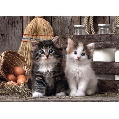 Puzzle adulte 1000 pieces : 2 mignons petits chatons - collection animaux - chat - clementoni multicolore - Publicité Puzzle adulte 1000 pieces : 2 mignons petits chatons - collection animaux - chat - clementoni multicolore - Publicité