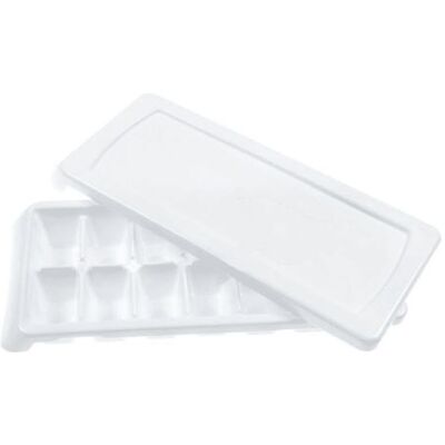 Bac A Glacons 260x110 Mm Sholtes Pour Refrigerateur Scholtes - C00019414 - Publicité Bac A Glacons 260x110 Mm Sholtes Pour Refrigerateur Scholtes - C00019414 - Publicité
