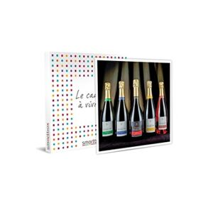 Coffret cadeau Smartbox Coffret Cadeau - Dégustation de champagne et visite de domaine dans la Marne- Gastronomie - Publicité