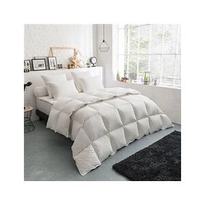 Dodo Couette Thermoduv TEMPEREE - 70% Duvet d'Oie - 140/200 - - Publicité