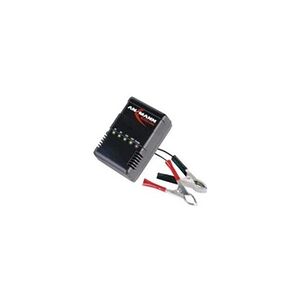 Ansmann Chargeur pour accus au plomb 9164016/01 2 V, 6 V, 12 V, 24 V 1 pc(s) - Publicité