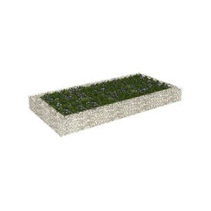 VIDAXL Lit surélevé à gabion Acier galvanisé 200x100x20 cm - Publicité