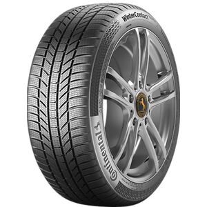 Pneu Continental Wincont Ts870p 19555 R20 95h