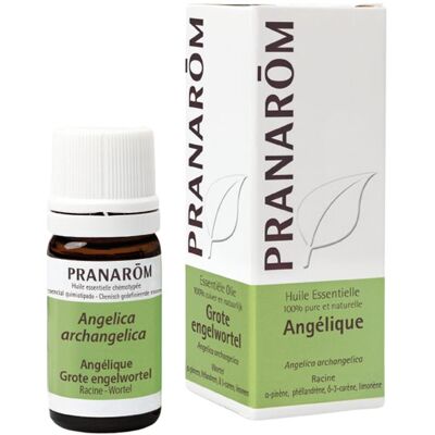 PRANAROM Pranarôm huile essentielle angélique 5ml - Publicité PRANAROM Pranarôm huile essentielle angélique 5ml - Publicité