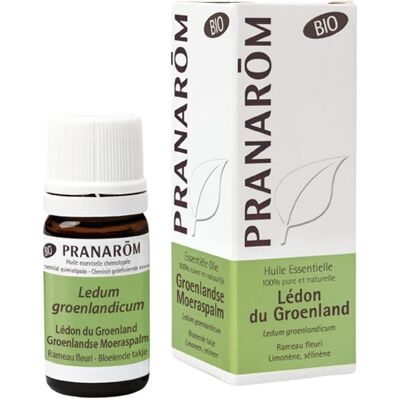 PRANAROM Pranarôm huile essentielle Lédon du Groenland bio 5ml - Publicité PRANAROM Pranarôm huile essentielle Lédon du Groenland bio 5ml - Publicité