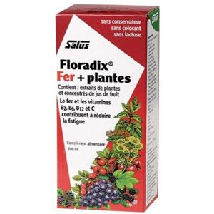 Salus Floradix boisson fer + plantes 500ml