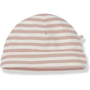 1+ in the family Bonnet Raye Jersey Rio - Rose