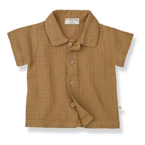 1 in the family Chemise Manches Courtes David Camel