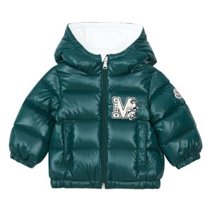 Moncler Doudoune Arslan Vert foret