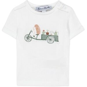 Tartine et Chocolat T Shirt Jardin Secret Vert