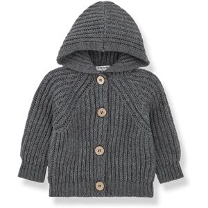 1+ in the family Cardigan en Laine a Capuche Aniol - Gris