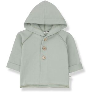 1+ in the family Gilet a Capuche Elliot - Vert pale