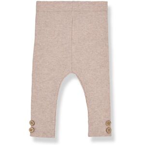 1 in the family Legging Cotele Sina Rose pale