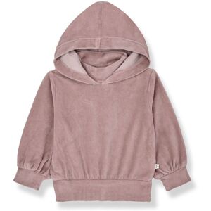 1 in the family Sweat Capuche Velours Albina Mauve