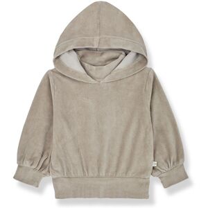 1 in the family Sweat Capuche Velours Albina Taupe