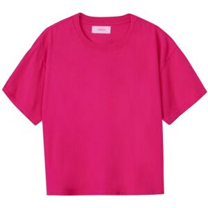 Xirena T shirt Palmer Rose