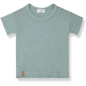 1+ in the family T-shirt Aldos Coton Flamme - Bleu Vert