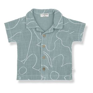 1 in the family Chemise Fiorenzo Fleurie Bleu Vert