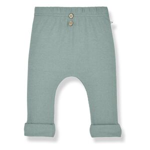 1+ in the family Legging Marti Côtele - Bleu Vert