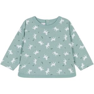 Petit Bateau T-Shirt Imprime Biquette - Vert Menthe