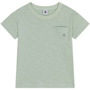 Petit Bateau T-shirt Monde Jersey Flamme - Sauge