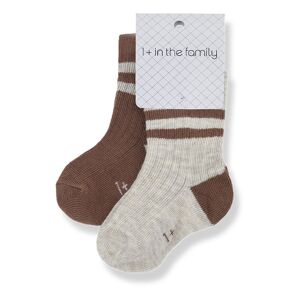 1+ in the family Chaussettes Rodolfo Rayees - Chocolat