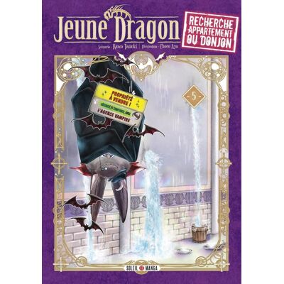 Soleil Jeune dragon recherche appartement ou donjon tome 5 - Publicité Soleil Jeune dragon recherche appartement ou donjon tome 5 - Publicité