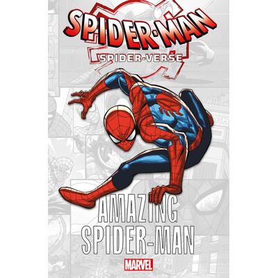 PANINI Marvel-verse - Amazing Spider-Man - Publicité PANINI Marvel-verse - Amazing Spider-Man - Publicité