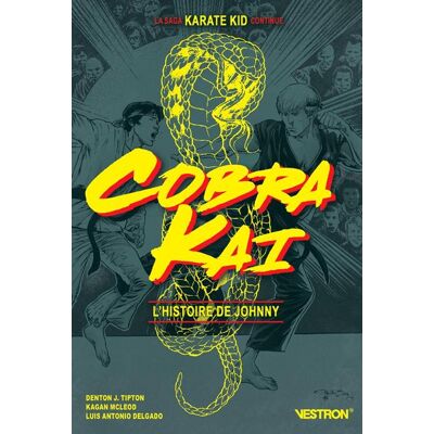 Vestron Cobra kai - L'histoire de Johnny - Publicité Vestron Cobra kai - L'histoire de Johnny - Publicité