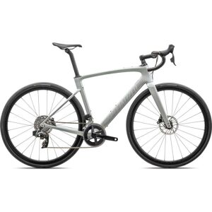 Specialized Velo de Route Carbone - ROUBAIX SL8 EXPERT - 2024 - dove grey / chameleon lapis