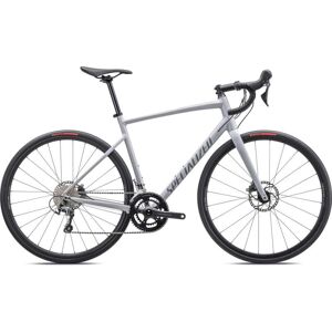 Specialized Velo Route - ALLEZ E5 DISC SPORT - 2024 - gloss dove grey / cool grey / chameleon lapis