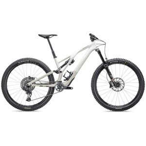 Specialized VTT Carbone 29 STUMPJUMPER EVO EXPERT 2023 gloss birch taupe