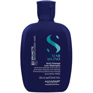 Alfaparf Milano - Shampoo Semi Di Lino Brunette et Foncé - 250ml - Publicité Alfaparf Milano - Shampoo Semi Di Lino Brunette et Foncé - 250ml - Publicité