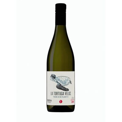 Izadi La Tortuga Veloz 2018 verdejo 75 cl - Publicité Izadi La Tortuga Veloz 2018 verdejo 75 cl - Publicité