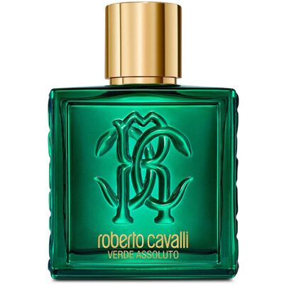 Roberto Cavalli Uomo Verde Assoluto eau de parfum vaporisateur 100 ml - Publicité Roberto Cavalli Uomo Verde Assoluto eau de parfum vaporisateur 100 ml - Publicité