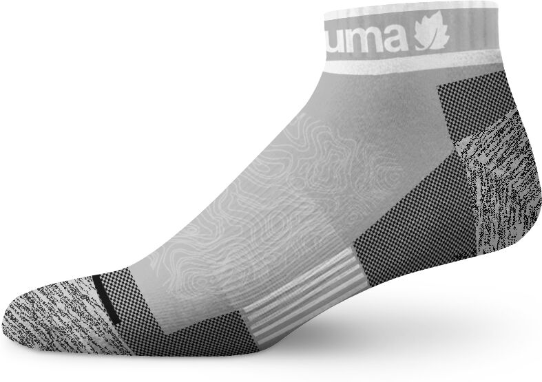 Lafuma Chaussettes ACCESS LOW Gris 36/38