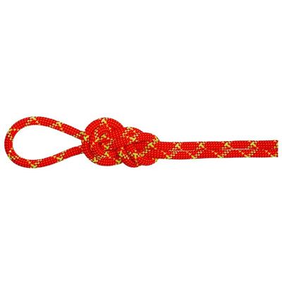 Corde d'escalade Mammut 8,0 Alpine Core Protect Dry - Corde d'escalade - Publicité Corde d'escalade Mammut 8,0 Alpine Core Protect Dry - Corde d'escalade - Publicité