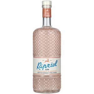 Kapriol Gin Kapriol GRAPEFRUIT & HIBISCUS Gin Artigianale Italiano 40,7% Vol. 0,7l - Publicité Kapriol Gin Kapriol GRAPEFRUIT & HIBISCUS Gin Artigianale Italiano 40,7% Vol. 0,7l - Publicité