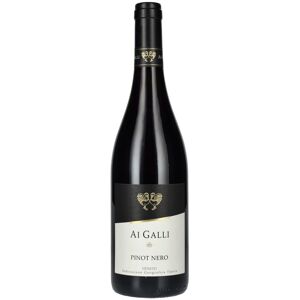 AI GALLI Pinot Nero Veneto IGT 2024 13% Vol. 0,75l - Publicité AI GALLI Pinot Nero Veneto IGT 2024 13% Vol. 0,75l - Publicité