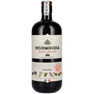 Normindia Gin Distillé 41,4% Vol. 0,7l - Publicité Normindia Gin Distillé 41,4% Vol. 0,7l - Publicité