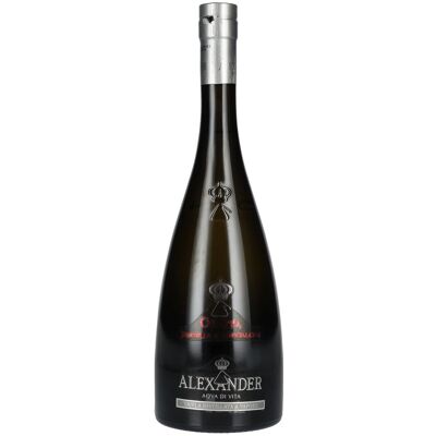 Bottega Alexander Aqva Di Vita Grappa Brunello di Montalcino 38% Vol. 0,7l - Publicité Bottega Alexander Aqva Di Vita Grappa Brunello di Montalcino 38% Vol. 0,7l - Publicité