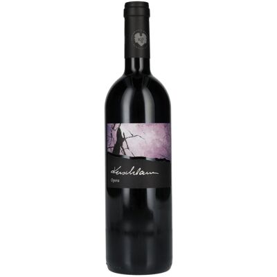 Weingut Kerschbaum Kerschbaum Opera 2021 13,5% Vol. 0,75l - Publicité Weingut Kerschbaum Kerschbaum Opera 2021 13,5% Vol. 0,75l - Publicité