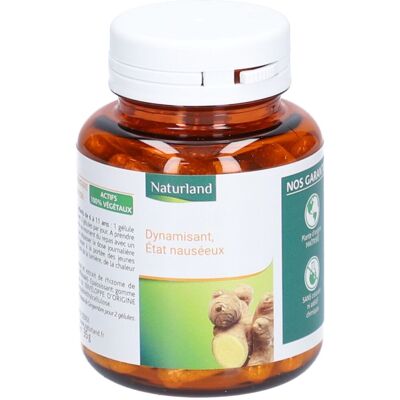 Naturland Gingembre Bio 75 Végécaps - Complément alimentaire - Publicité Naturland Gingembre Bio 75 Végécaps - Complément alimentaire - Publicité