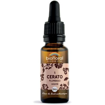 BIOFLORAL 05 - Cerato Plumbago 20 ml Goutte(S) - Publicité BIOFLORAL 05 - Cerato Plumbago 20 ml Goutte(S) - Publicité
