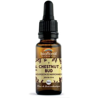 BIOFLORAL 07 - Chestnut Bud Bourgeons marronnier 20 ml Goutte(S) - Publicité BIOFLORAL 07 - Chestnut Bud Bourgeons marronnier 20 ml Goutte(S) - Publicité