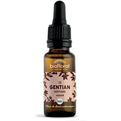BIOFLORAL 12 - Gentian Gentiane 20 ml Goutte(S) - Publicité BIOFLORAL 12 - Gentian Gentiane 20 ml Goutte(S) - Publicité