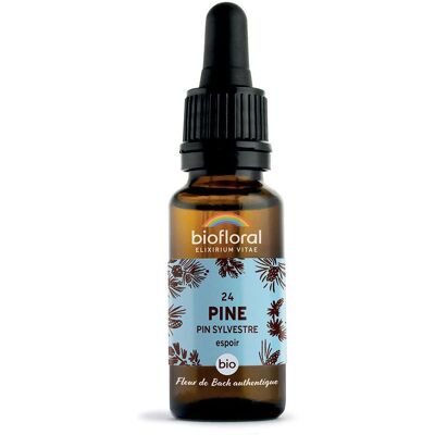 BIOFLORAL 24 - Pine Pin sylvestre 20 ml Goutte(S) - Publicité BIOFLORAL 24 - Pine Pin sylvestre 20 ml Goutte(S) - Publicité