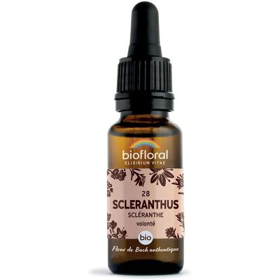 BIOFLORAL 28 - Scleranthus Scléranthe 20 ml Goutte(S) - Publicité BIOFLORAL 28 - Scleranthus Scléranthe 20 ml Goutte(S) - Publicité