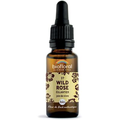 BIOFLORAL Wild rose - Eglantier 20 ml Goutte(S) - Publicité BIOFLORAL Wild rose - Eglantier 20 ml Goutte(S) - Publicité